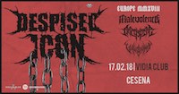 despised icon