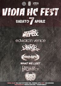 vidia hc fest